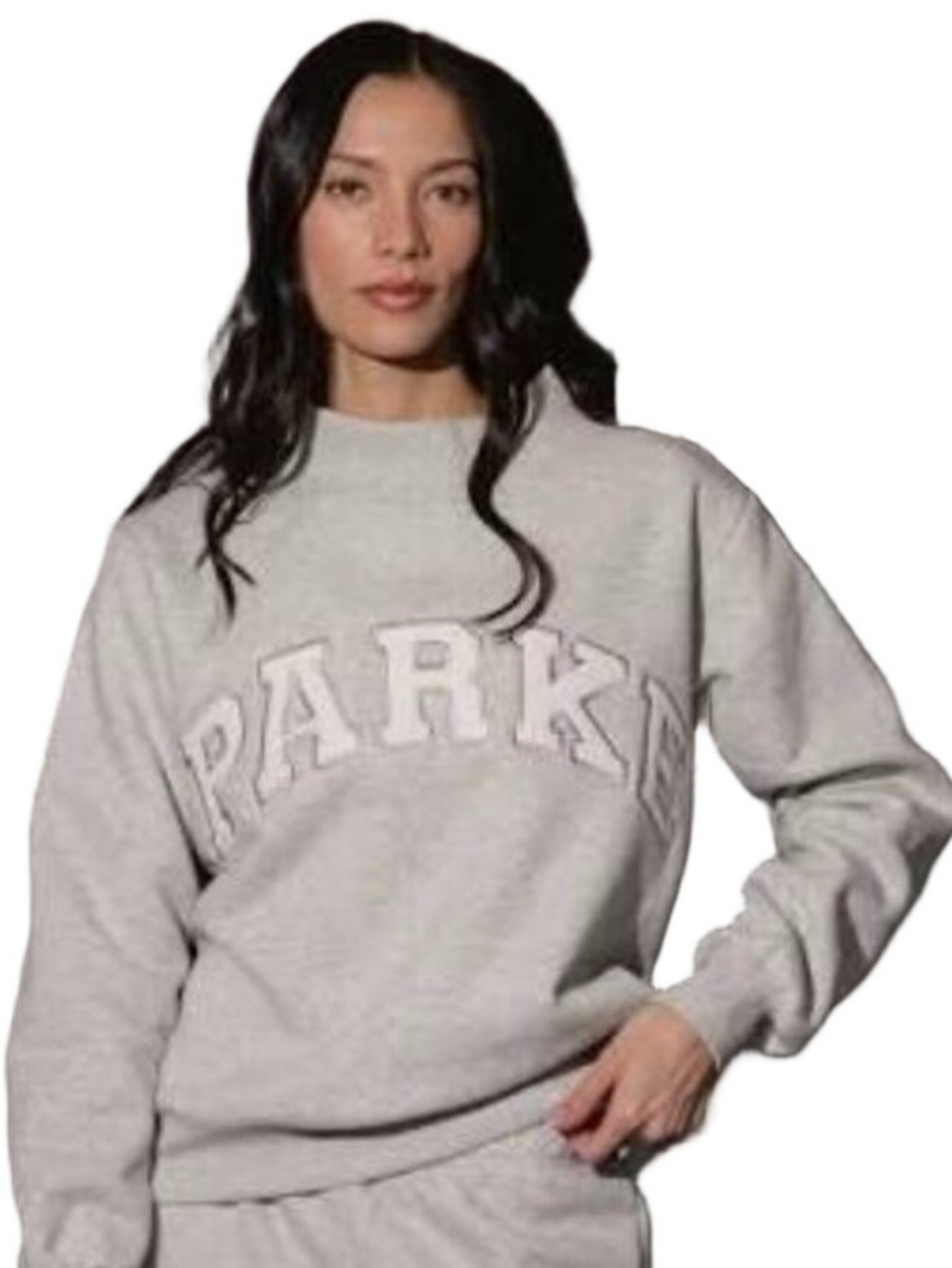 Parke Varsity Mockneck Metallic Sweatshirt L/XL NWT